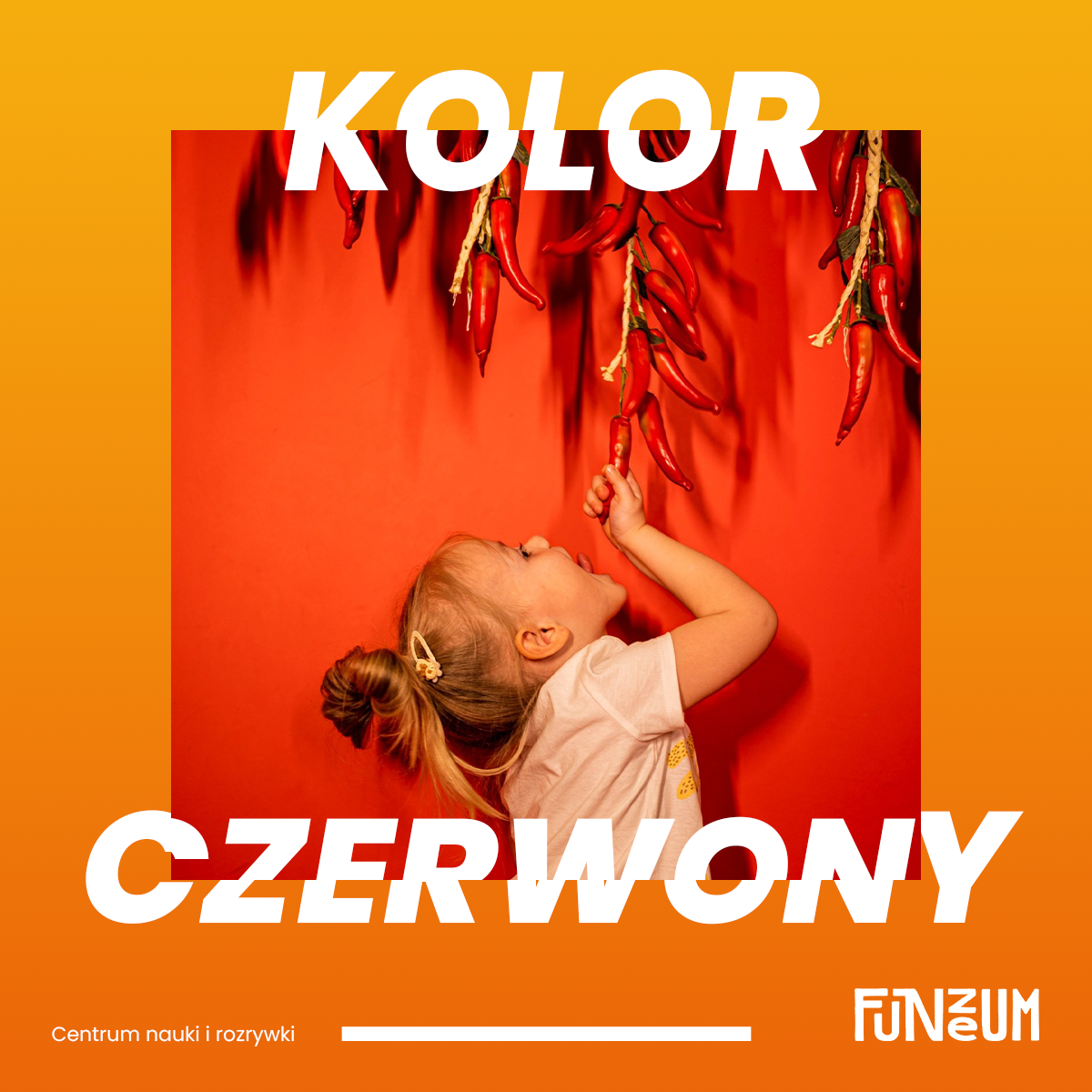 funzeum_KV_04B